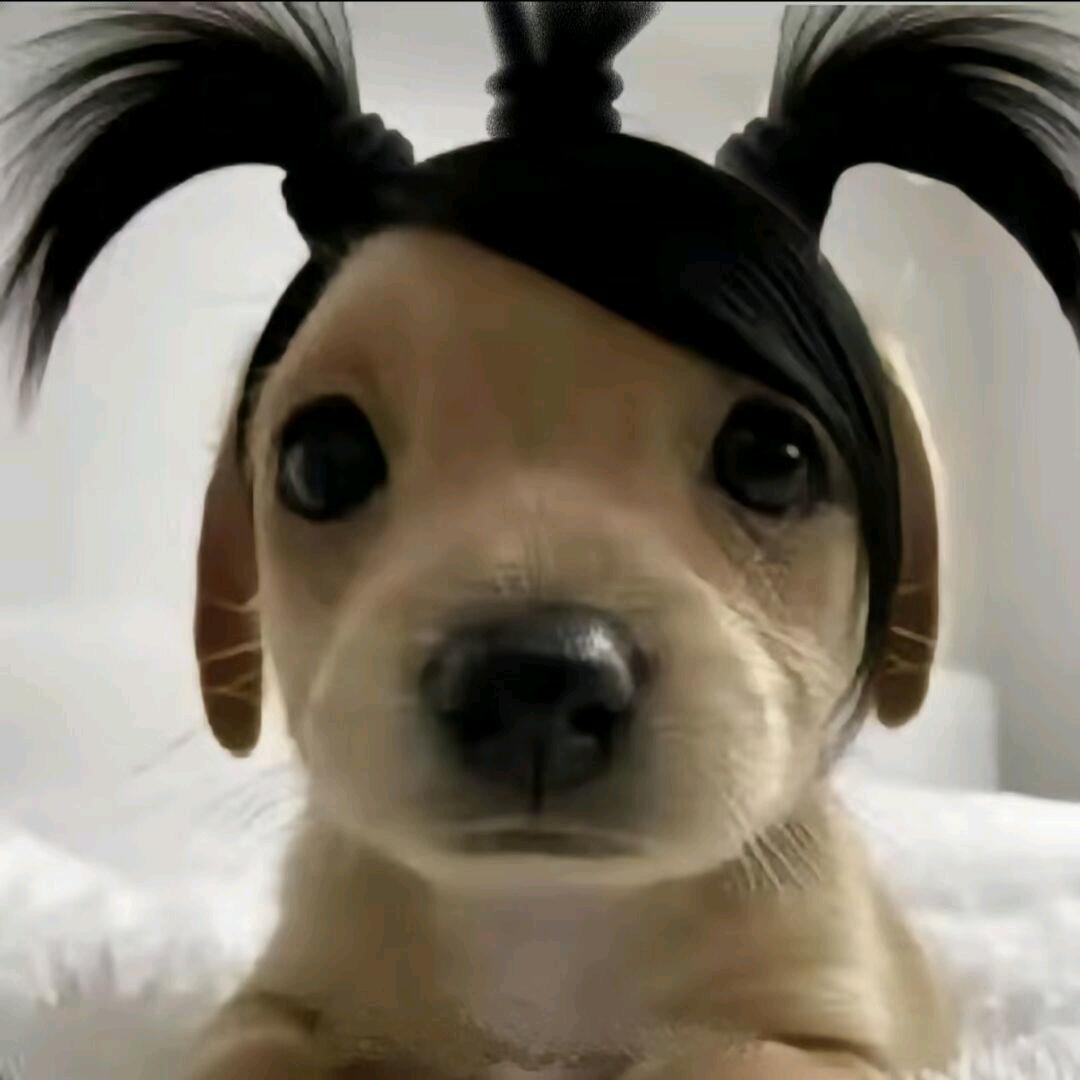 使用帅哥喷雾结果变成了痞颜