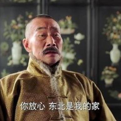 抖音丶心灵治愈师（东北王）