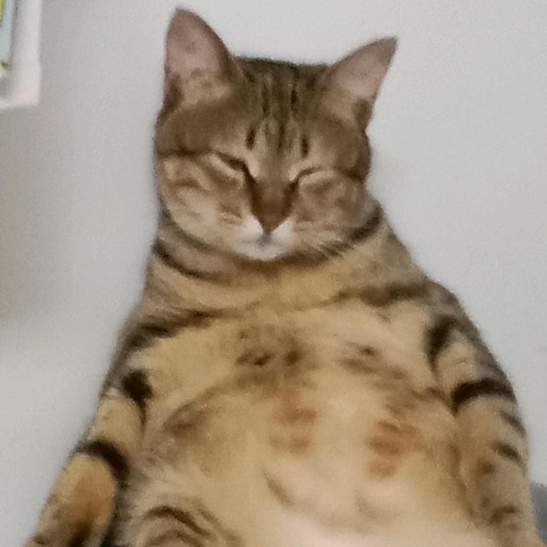 酸奶油猫薯片