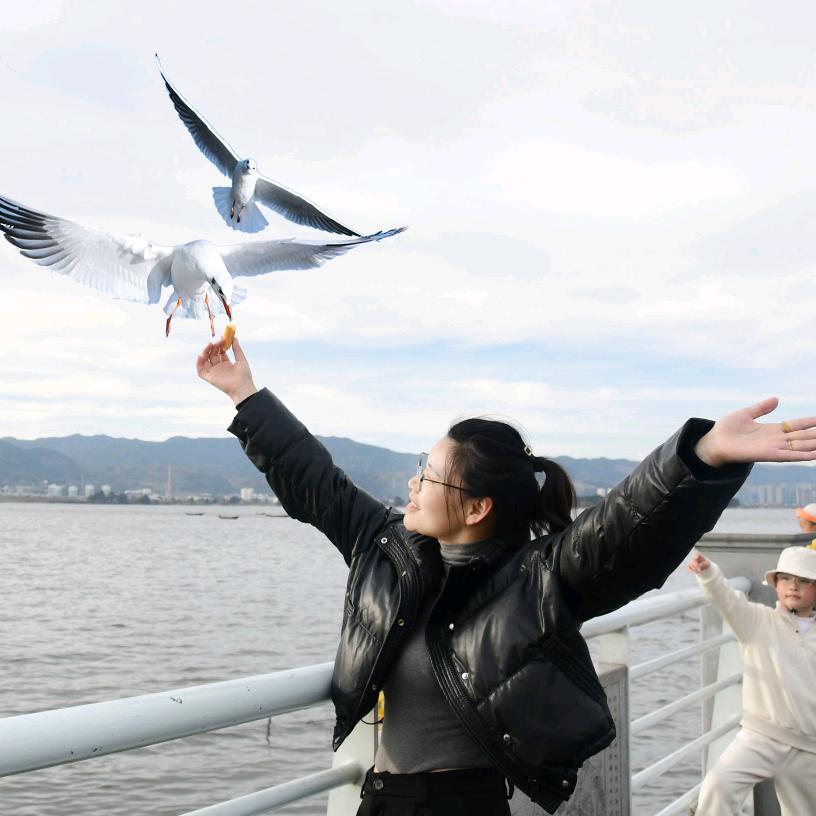 🧚‍♀️⍤⃝🍒拾٭꯭柒༉᭄✾͡࿐