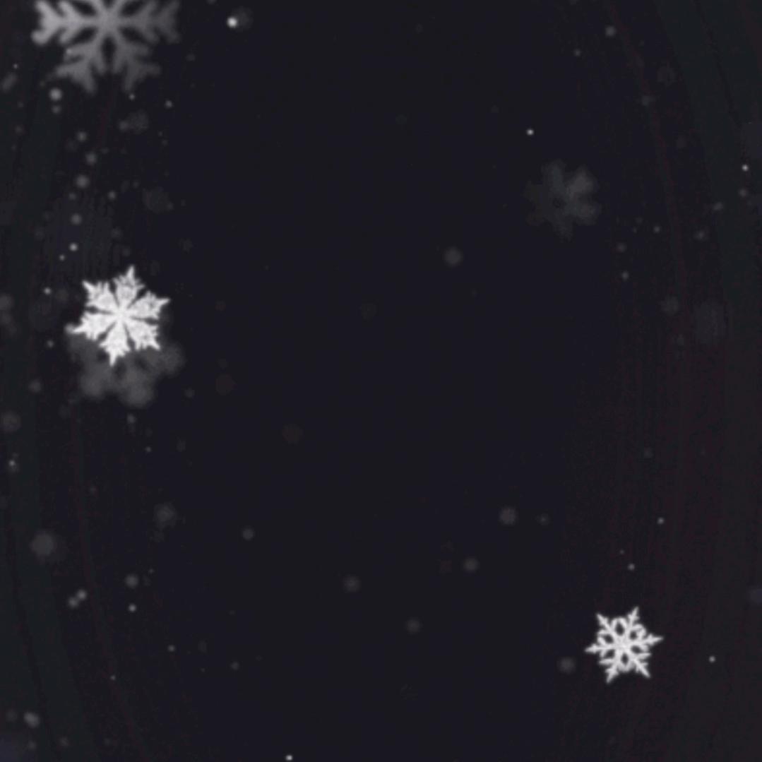 丹独(˘͈ᵕ ˘͈❀)