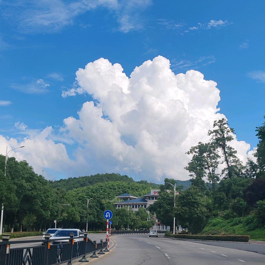 顾明