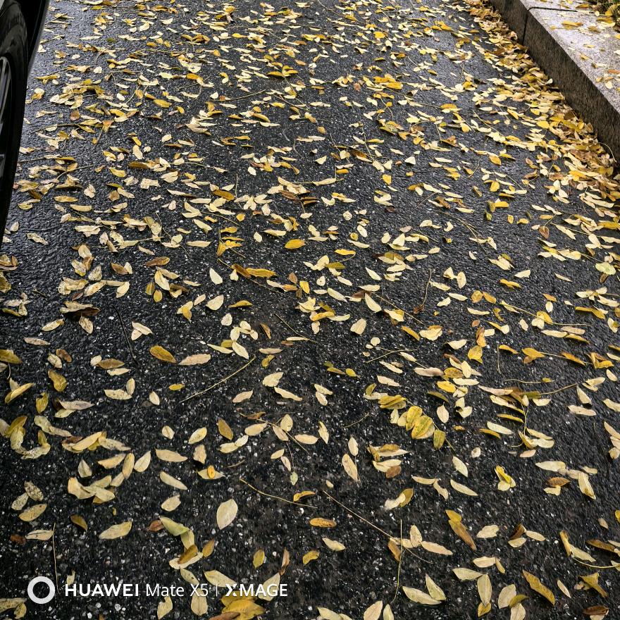 🌈🌈五福临门