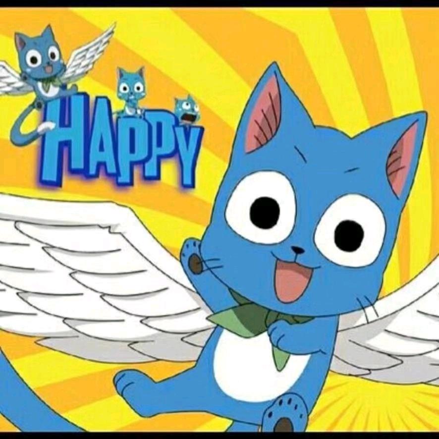 慵懒猫