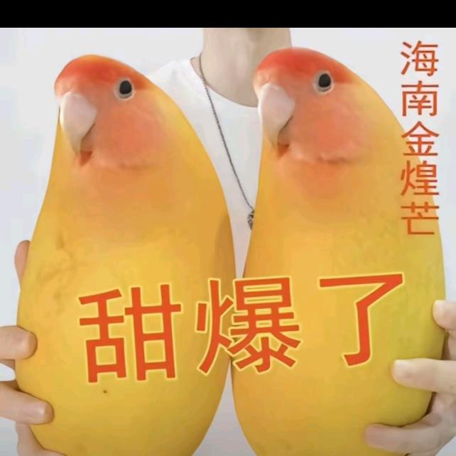 用户　　　🪳         广告✕