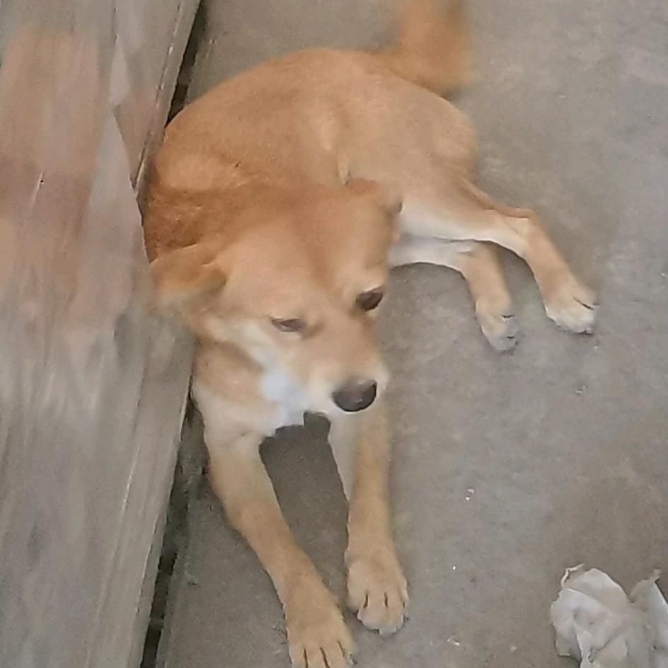 天云侠