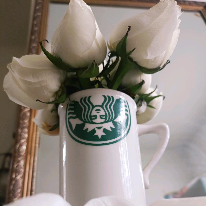 上立电子商务小石