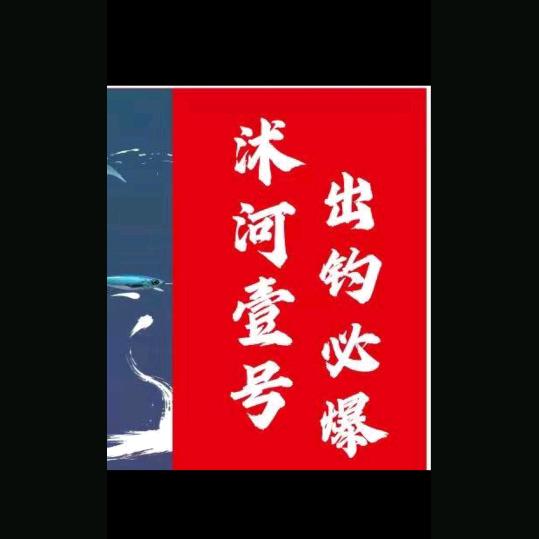 沭河一号诚哥