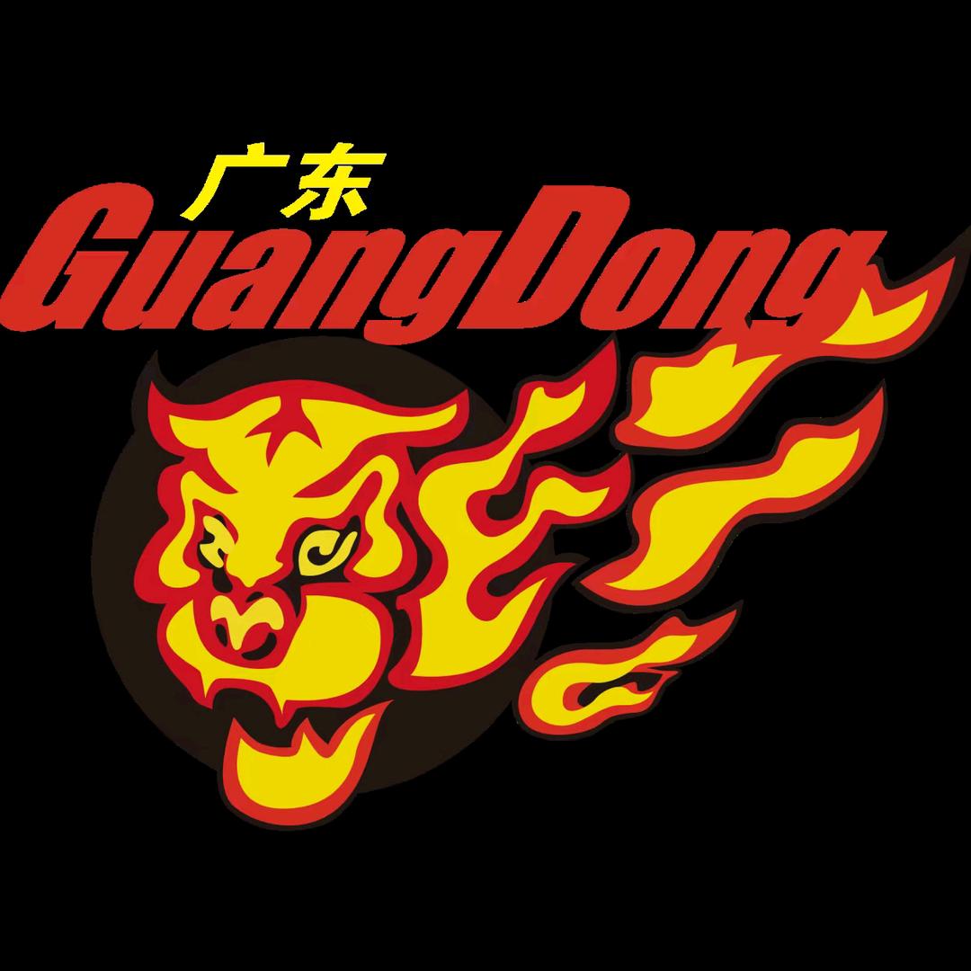 开心飞豹