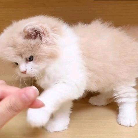 远方的家