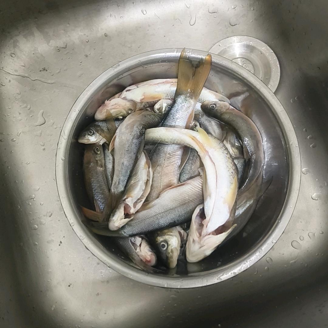 哦豁钓鱼老