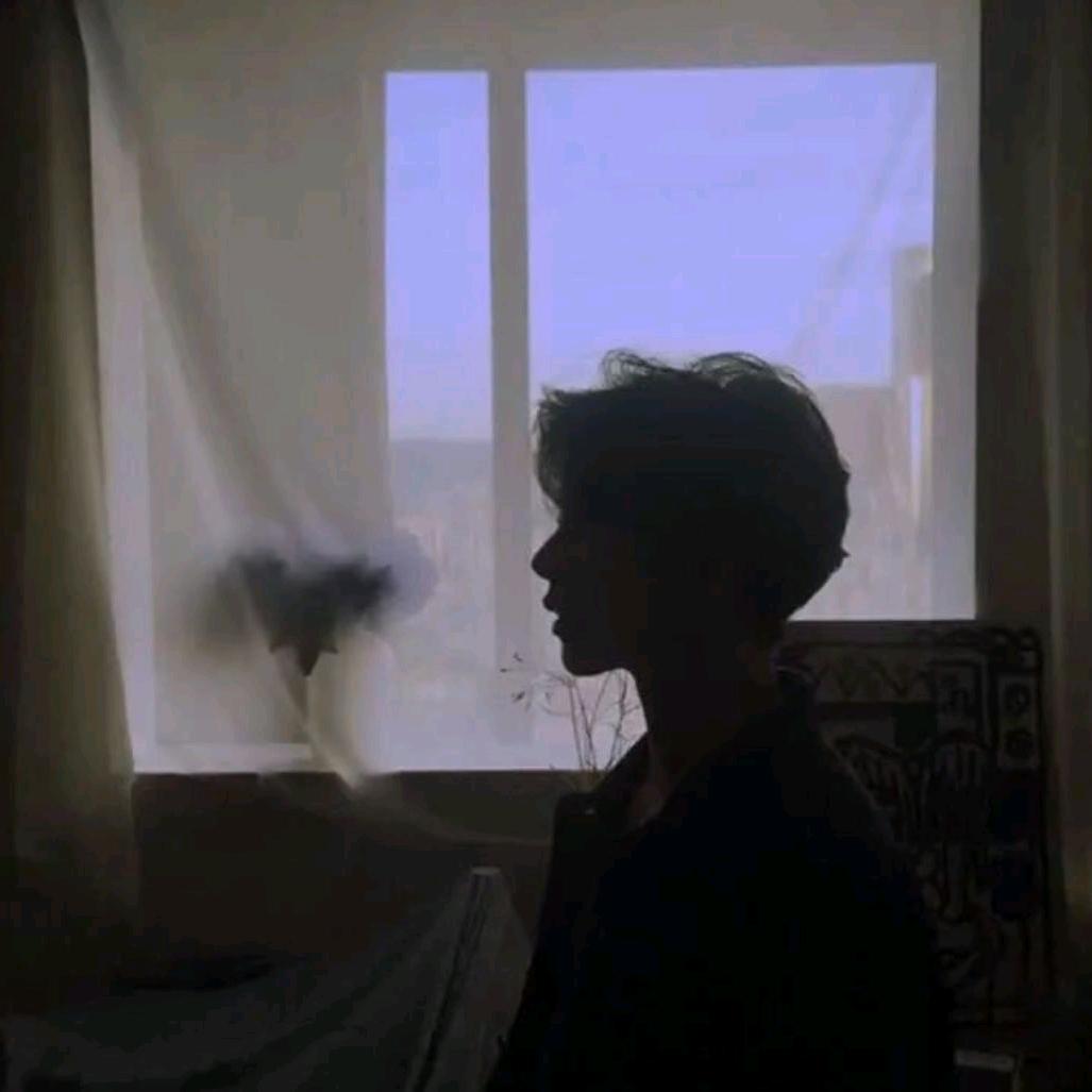 云中鹤