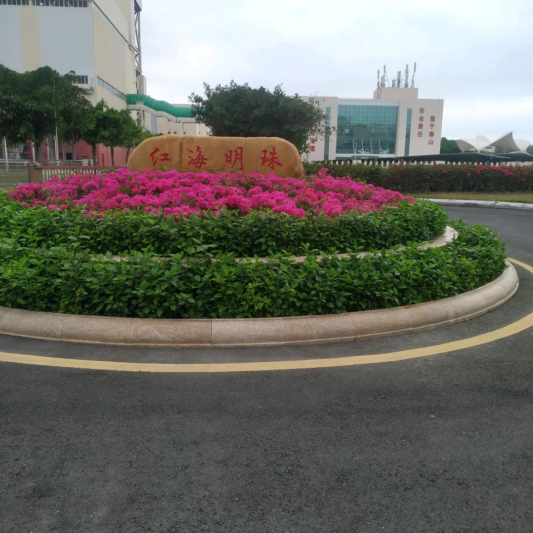 聆听心声🌼
