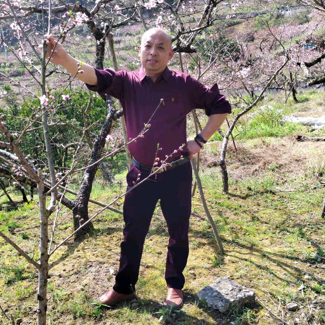 快乐大叔