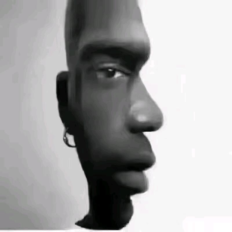 杜宾叫杜宾