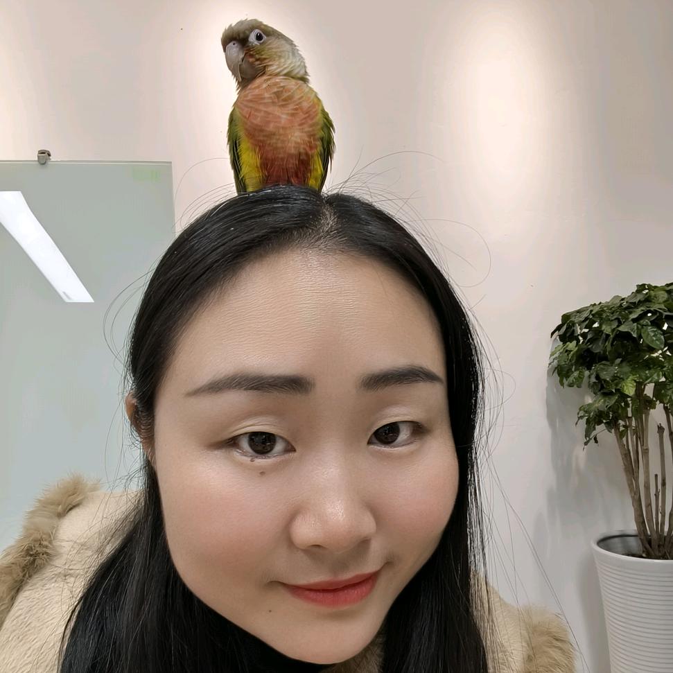 英语提升规划师