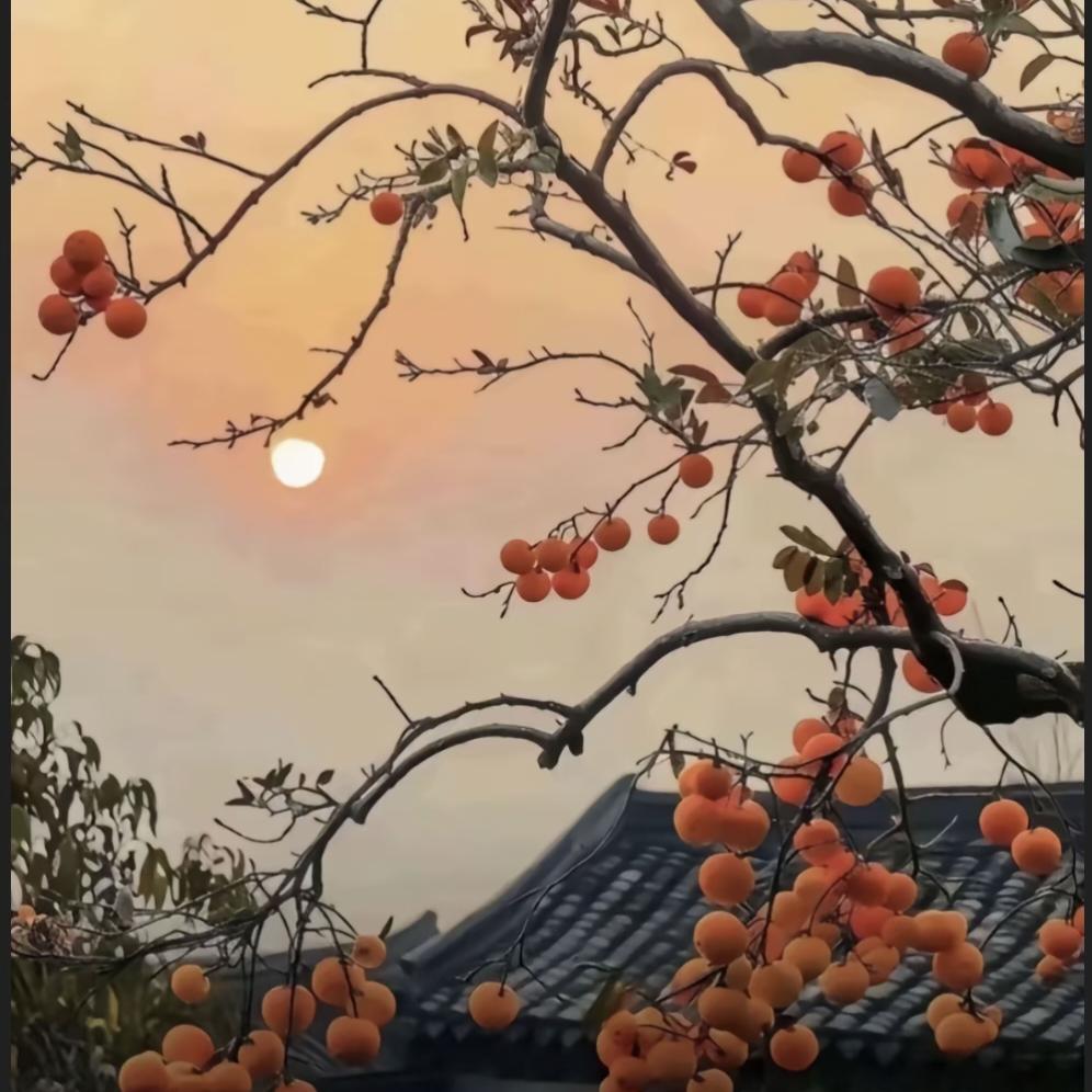 妮子