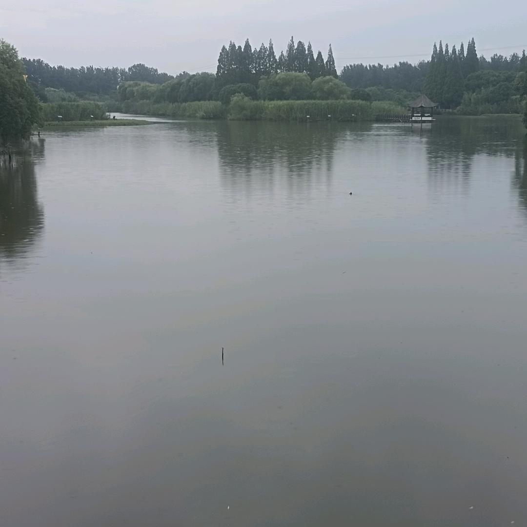 十二哨