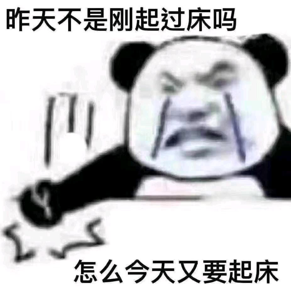 香菜菜