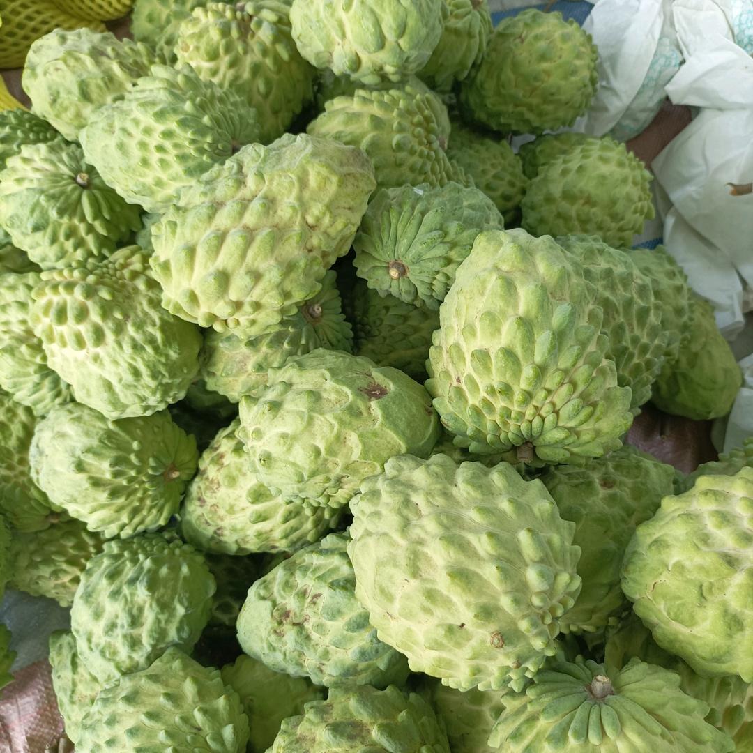 八面玲珑