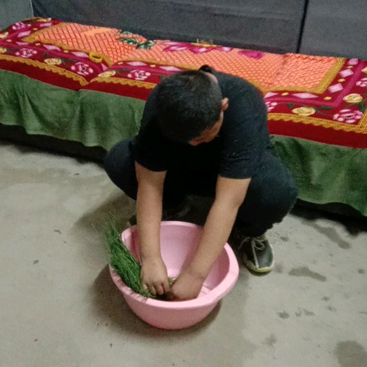 余锋