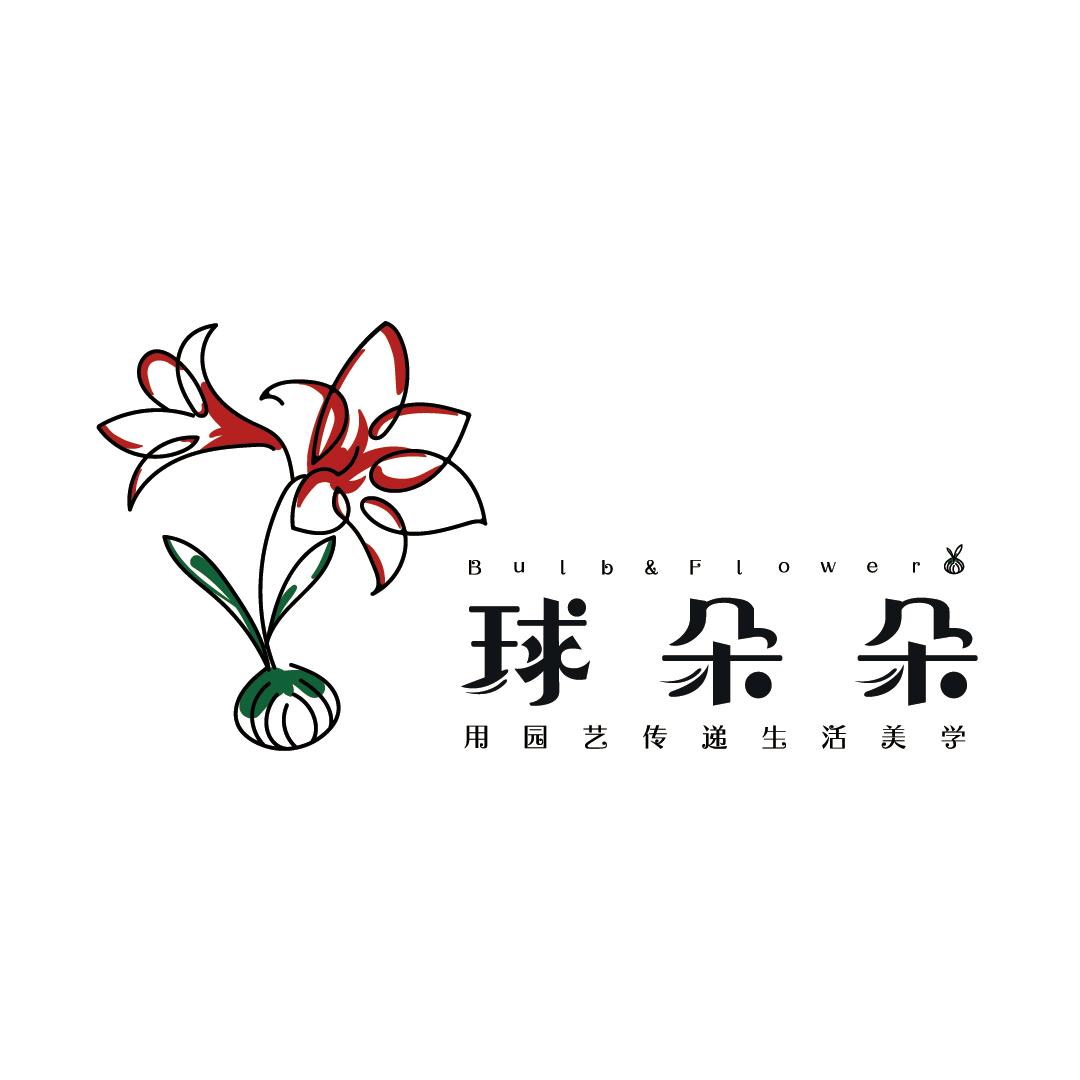 球朵朵