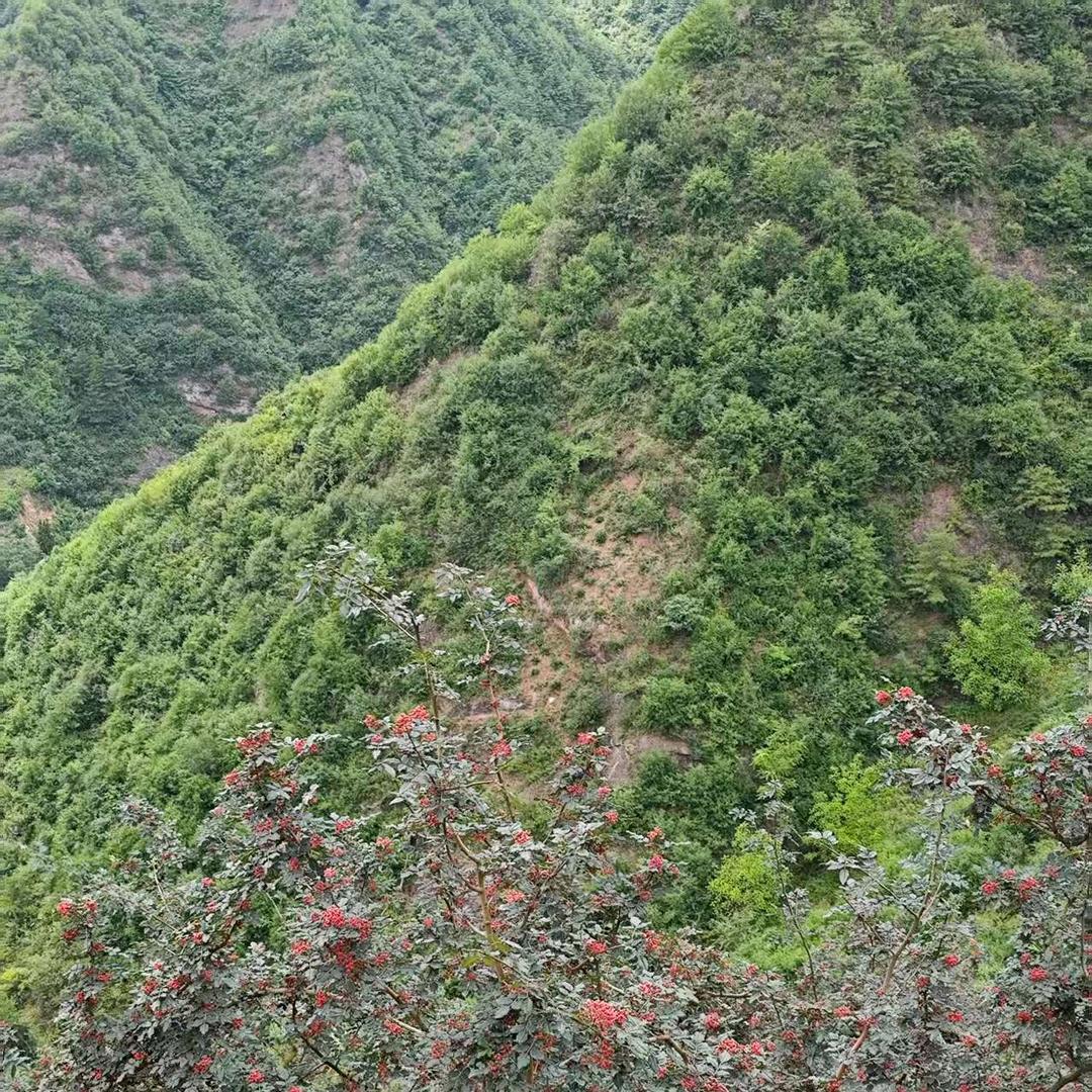 偶遇