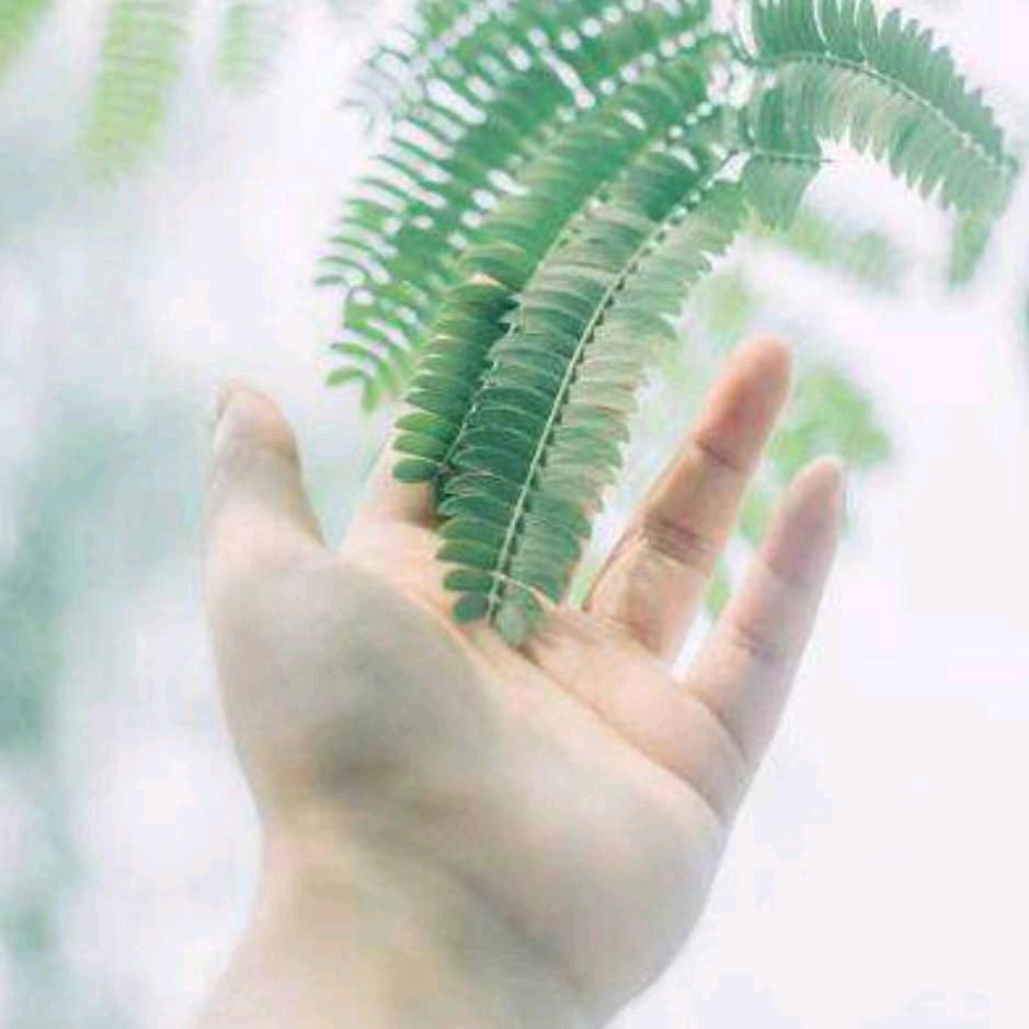 夕颜若雪（拒私聊）