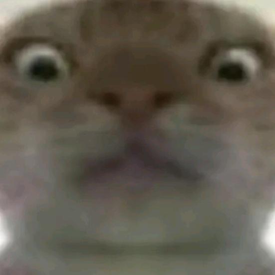 琉璃（三角洲行动）