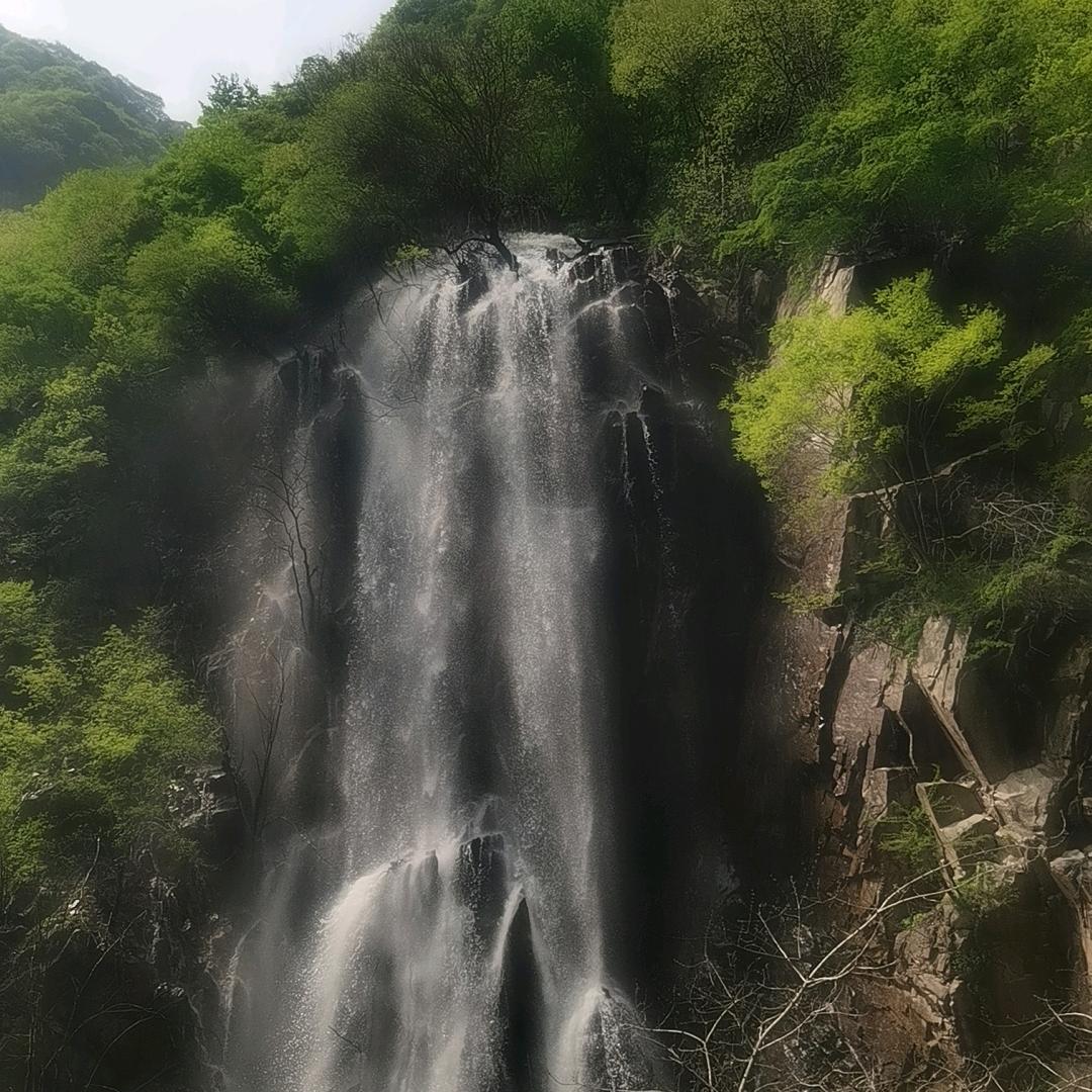 那片花海（橱窗好物分享）