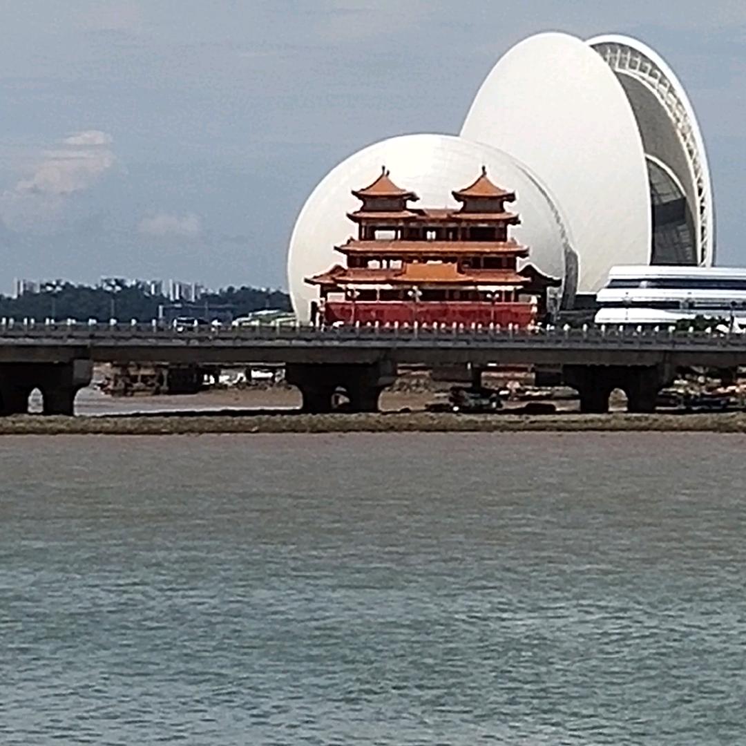 唐向前