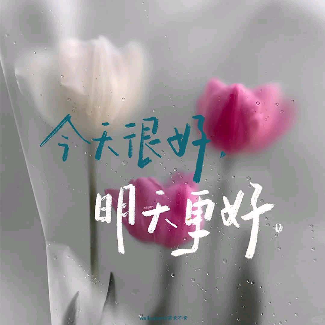 5665236336
