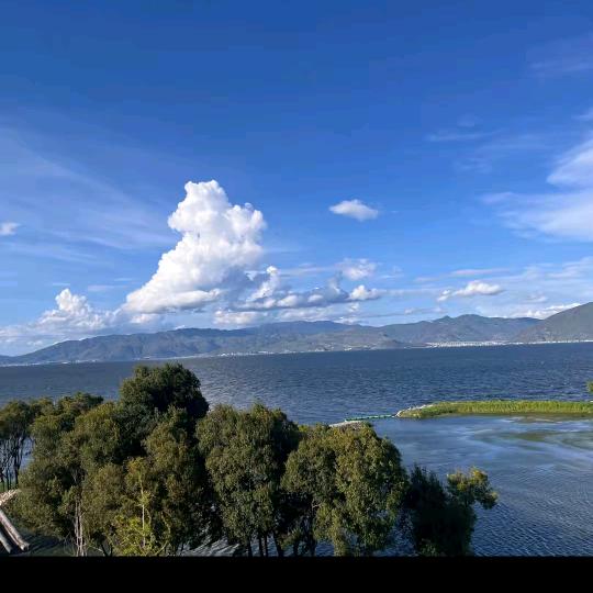 海阔有魚