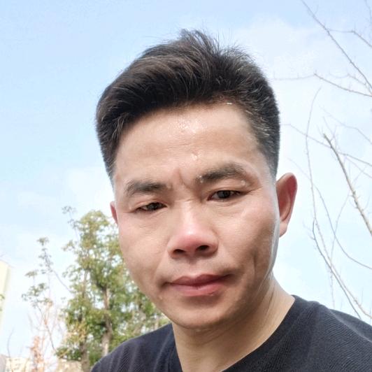 插上梦想的翅膀