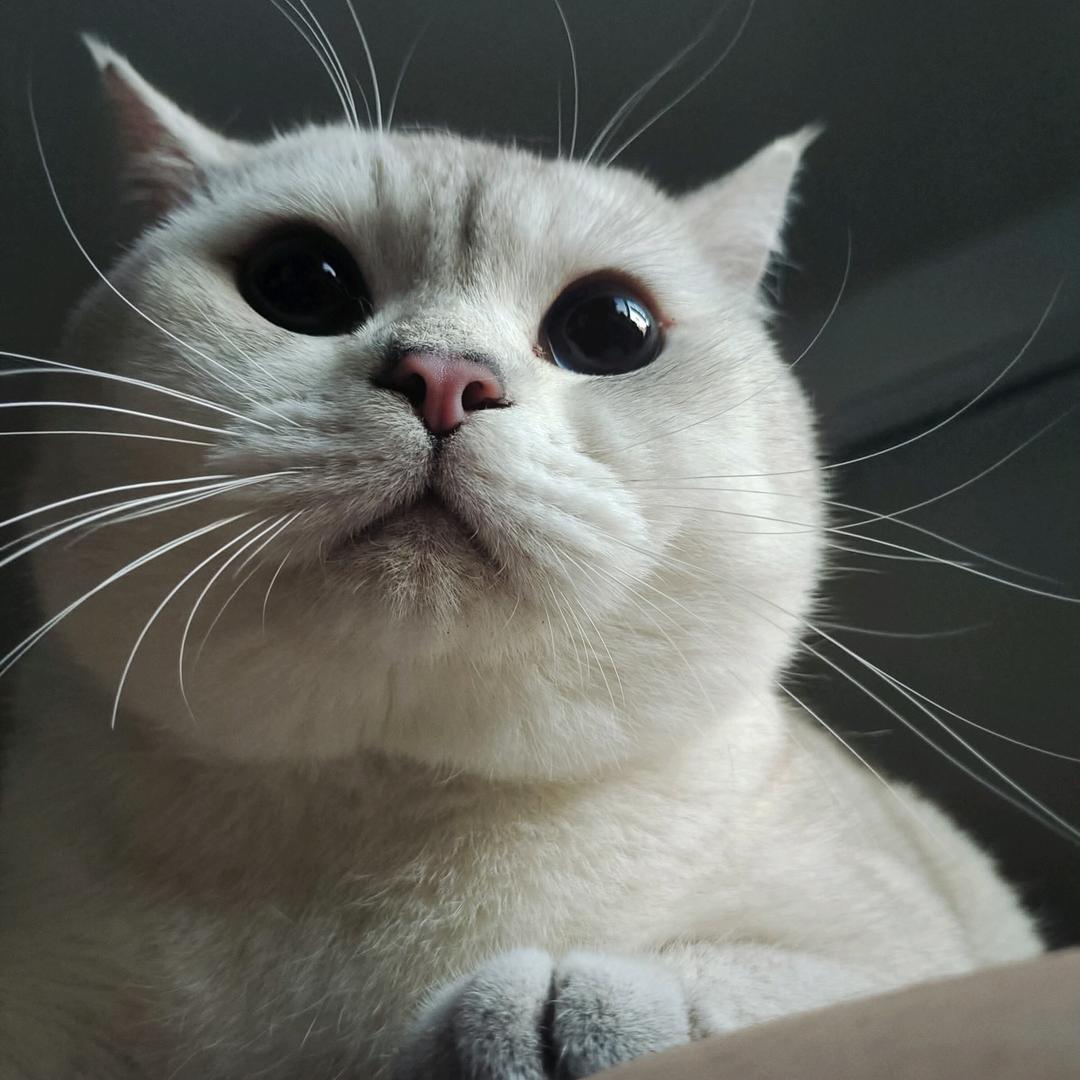 尒斌丶先玍