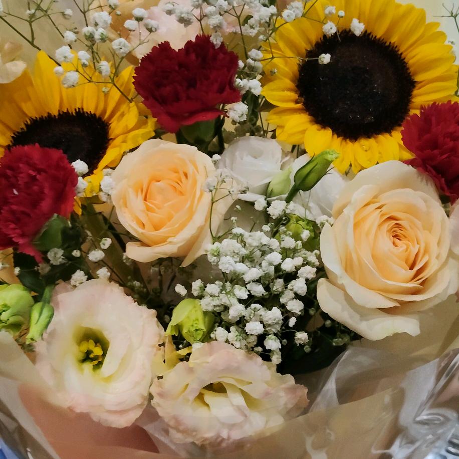 拒绝一切香菜🤗