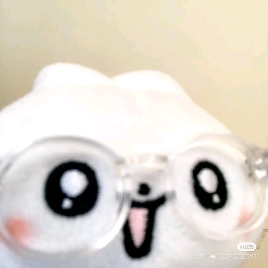 只是一只团子
