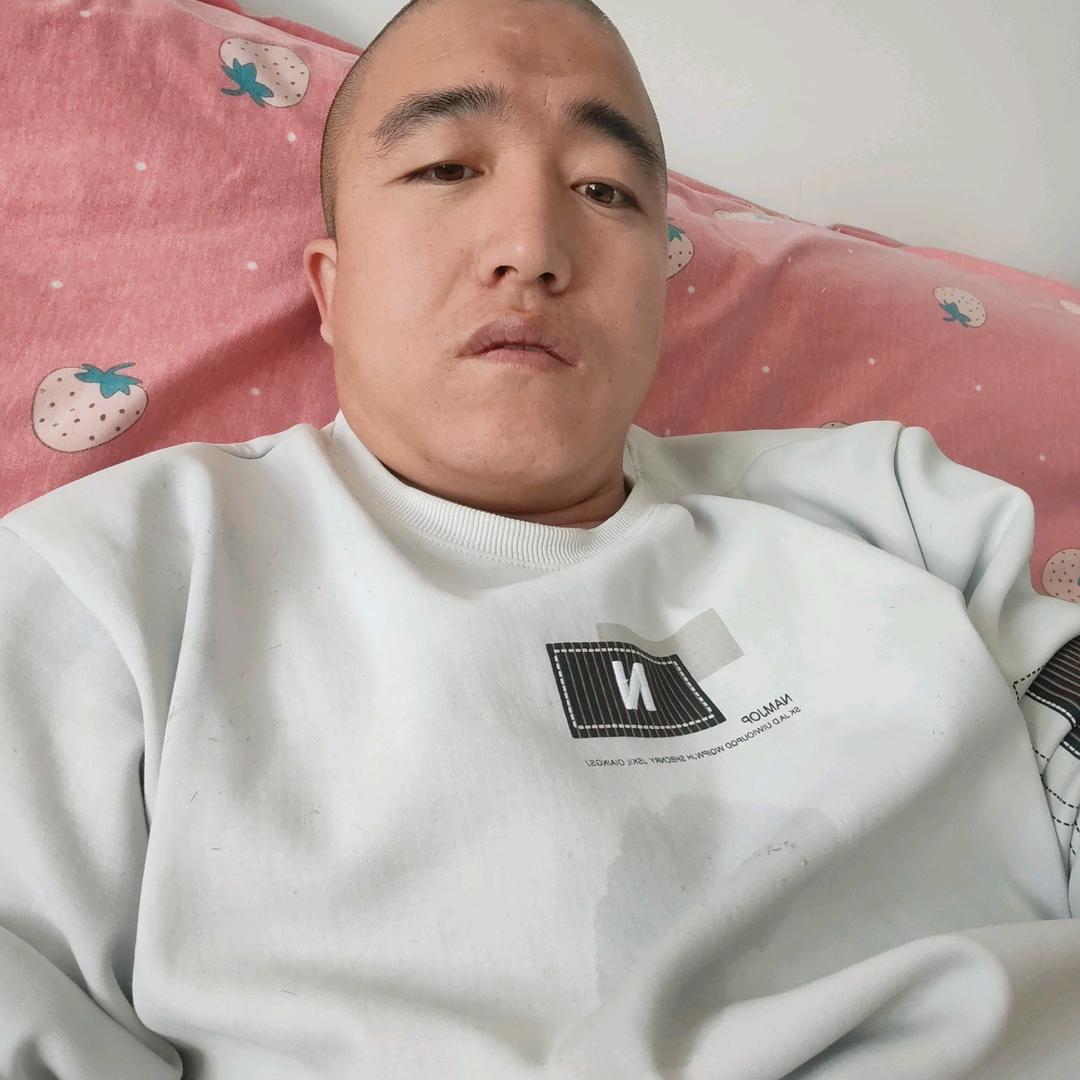 陕西小董巴基斯坦