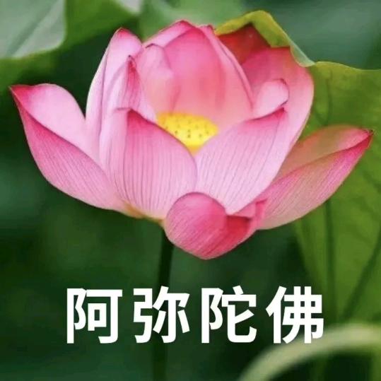 英英