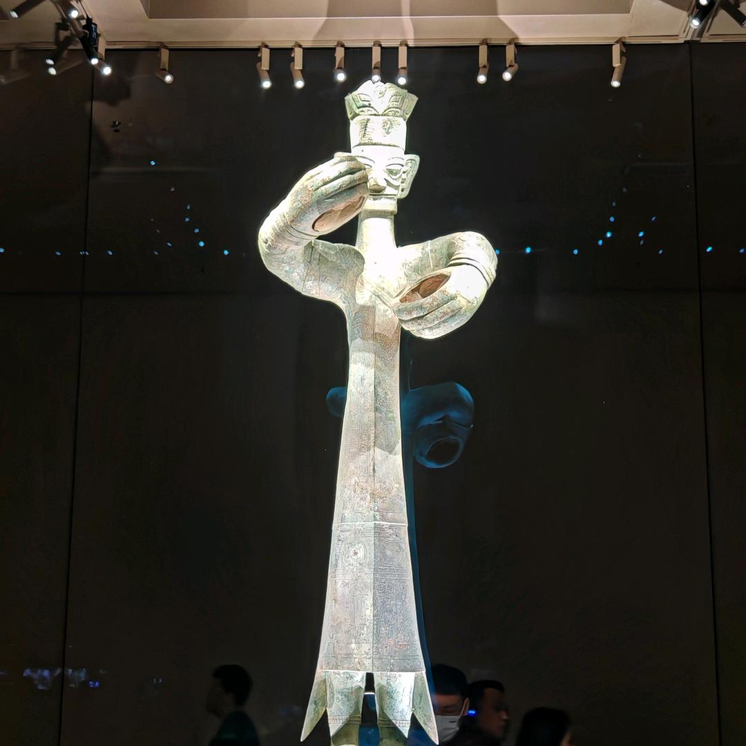 挪威森林狼