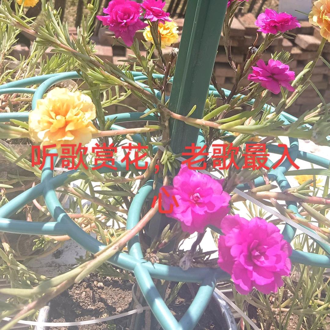 爱生活