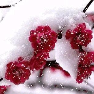 雪舞漫天