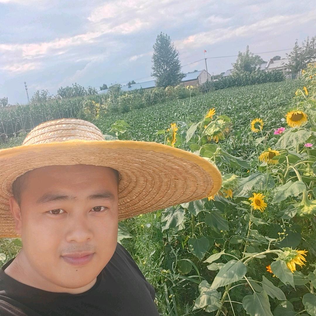 小屯阿森