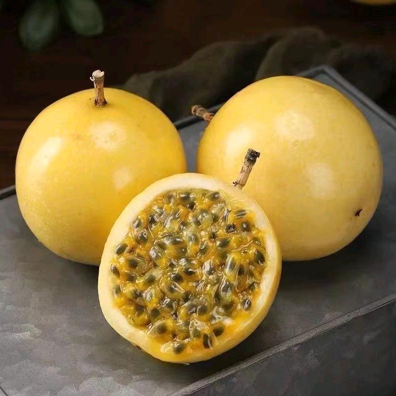 果领队株洲市彼唯农业有限公司果树苗木专卖店