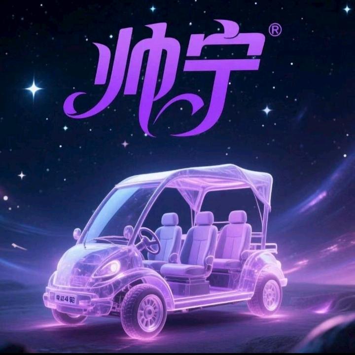 帅宁车行