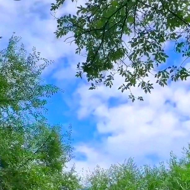 এ兜兜.ృ༊有糖.ృ༊