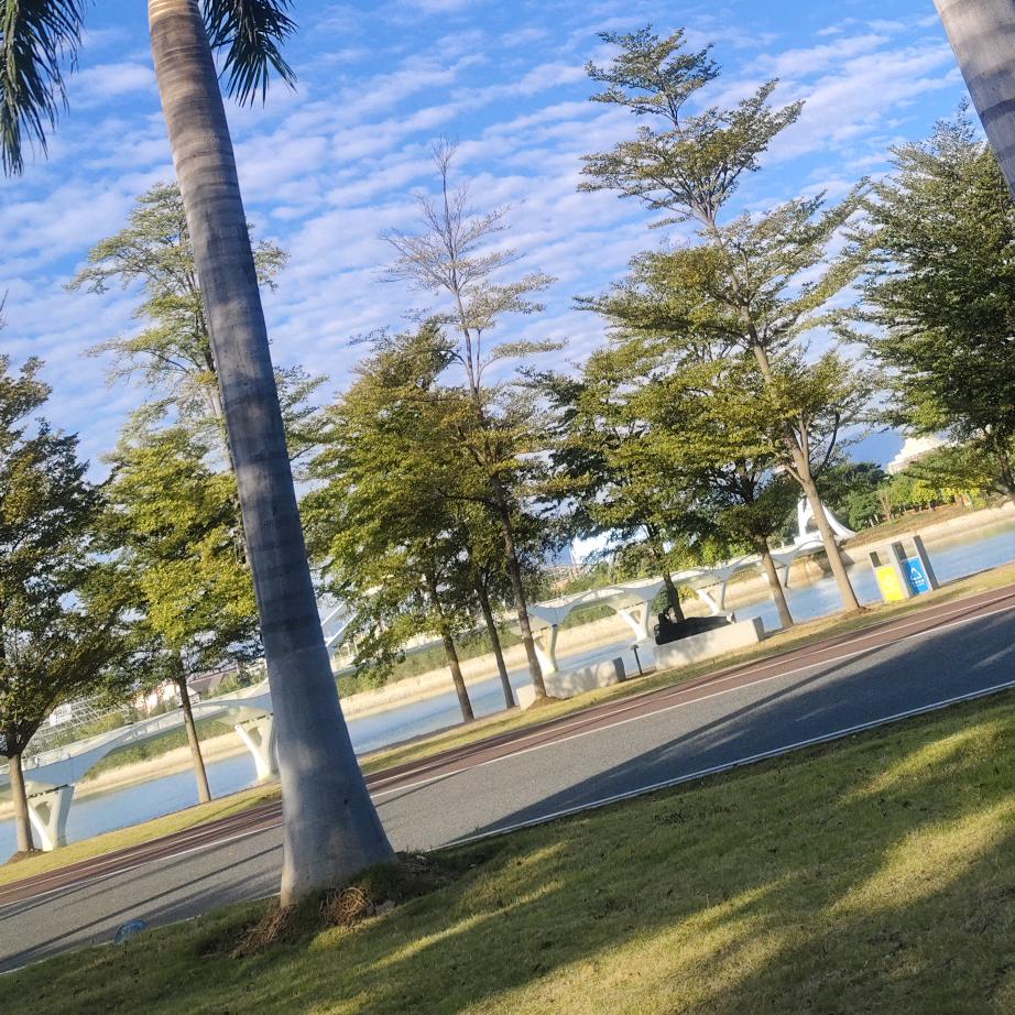 沉默