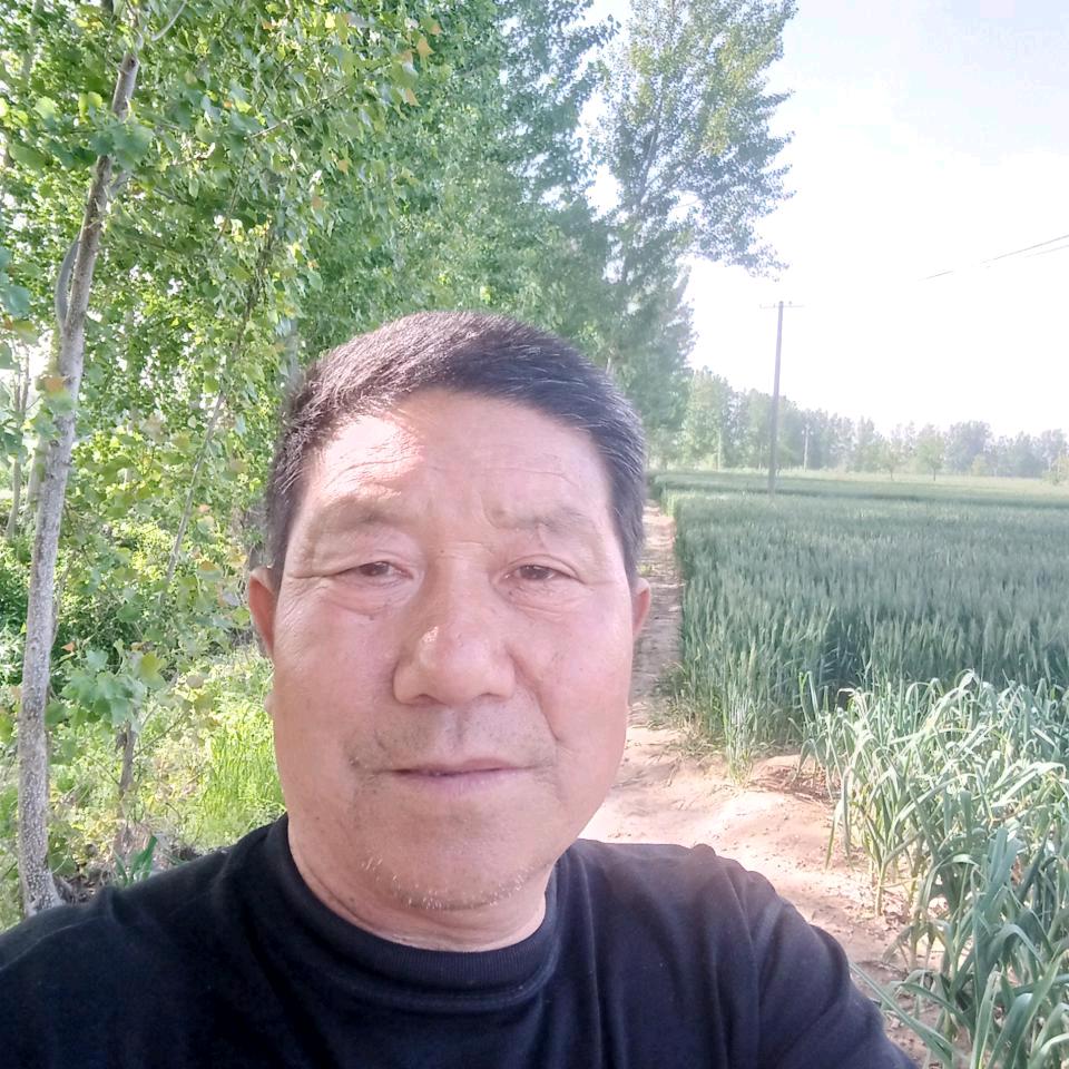 四季平安