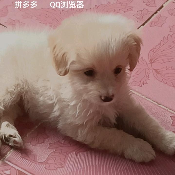 再来①个(･｀ω´･☝)