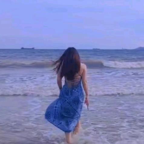 阳昕宠物生活馆